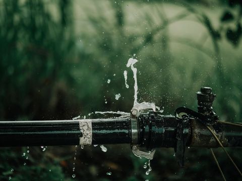 Water spraying from a joint in a garden pipe